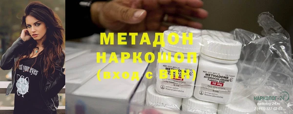 прущие грибы Алексеевка