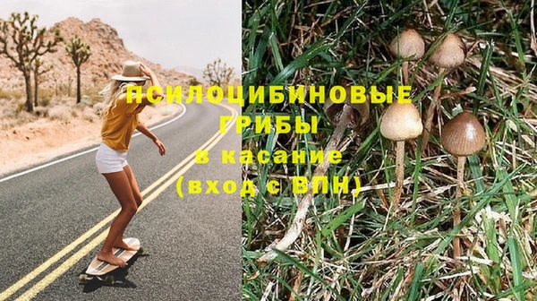 марки nbome Алзамай