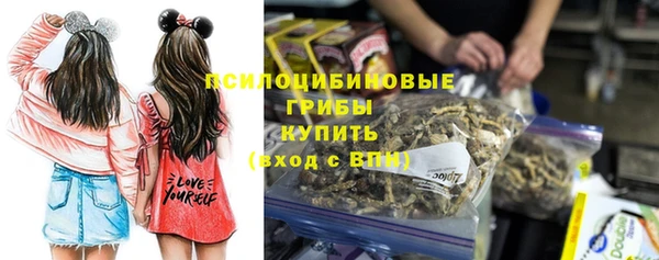 кокс Алексин
